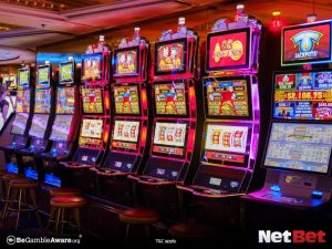 felizpg - App Bet Login