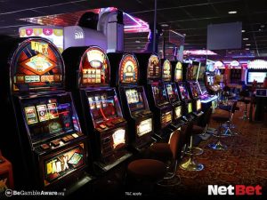 felizpg - Slot Cassino Login